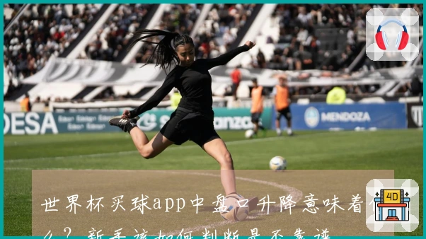 世界杯买球app中盘口升降意味着什么？新手该如何判断是否靠谱