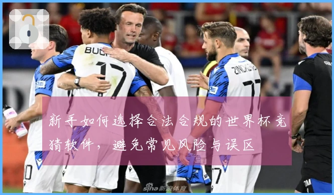 新手如何选择合法合规的世界杯竞猜软件，避免常见风险与误区