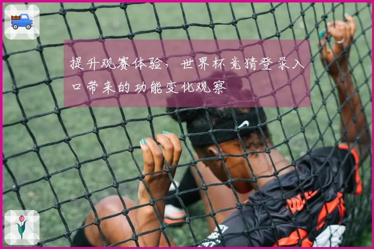 提升观赛体验，世界杯竞猜登录入口带来的功能变化观察
