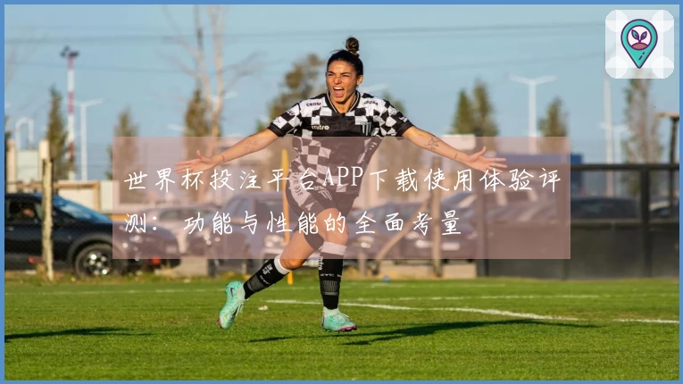 世界杯投注平台APP下载使用体验评测：功能与性能的全面考量