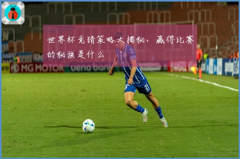 世界杯竞猜策略大揭秘，赢得比赛的秘诀是什么