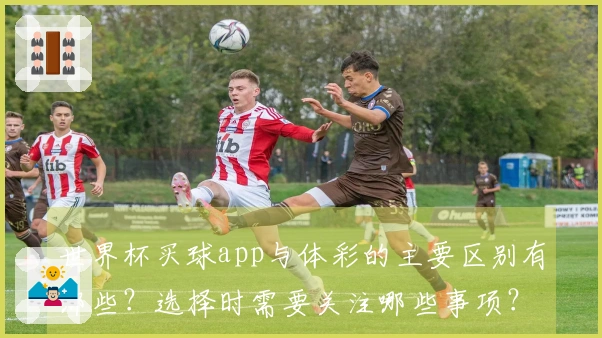 世界杯买球app与体彩的主要区别有哪些？选择时需要关注哪些事项？