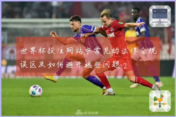 世界杯投注网站中常见的法律合规误区及如何避开这些问题