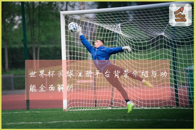 世界杯买球注册平台背景介绍与功能全面解析