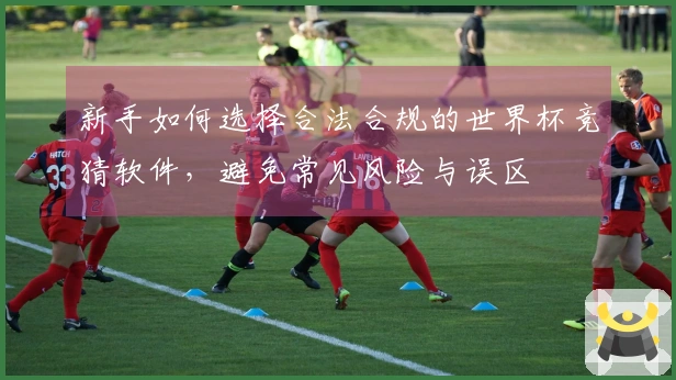 新手如何选择合法合规的世界杯竞猜软件，避免常见风险与误区
