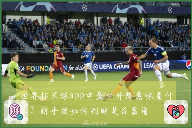 世界杯买球app中盘口升降意味着什么？新手该如何判断是否靠谱