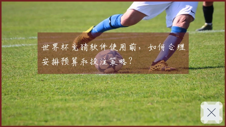 世界杯竞猜软件使用前，如何合理安排预算和投注策略？