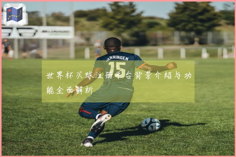 世界杯买球注册平台背景介绍与功能全面解析