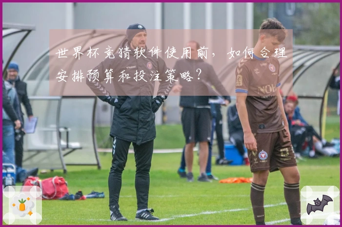 世界杯竞猜软件使用前，如何合理安排预算和投注策略？