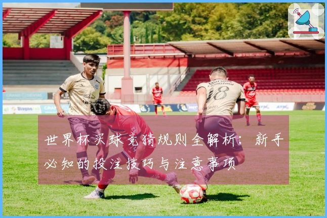 世界杯买球竞猜规则全解析:新手必知的投注技巧与注意事项