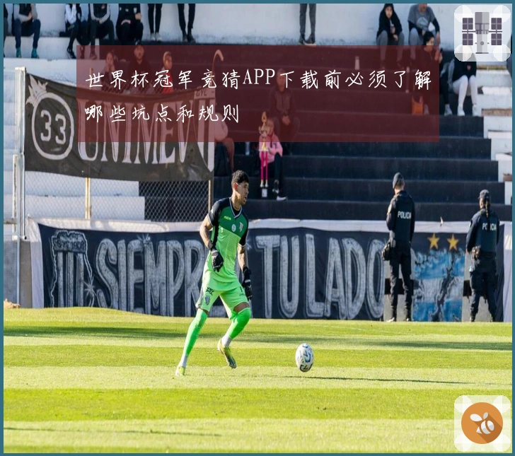 世界杯冠军竞猜APP下载前必须了解哪些坑点和规则