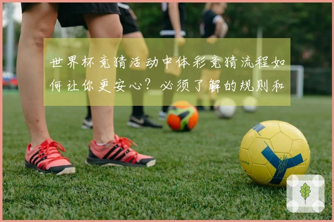 世界杯竞猜活动中体彩竞猜流程如何让你更安心？必须了解的规则和注意事项