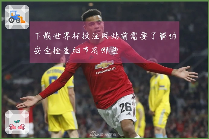 下载世界杯投注网站前需要了解的安全检查细节有哪些