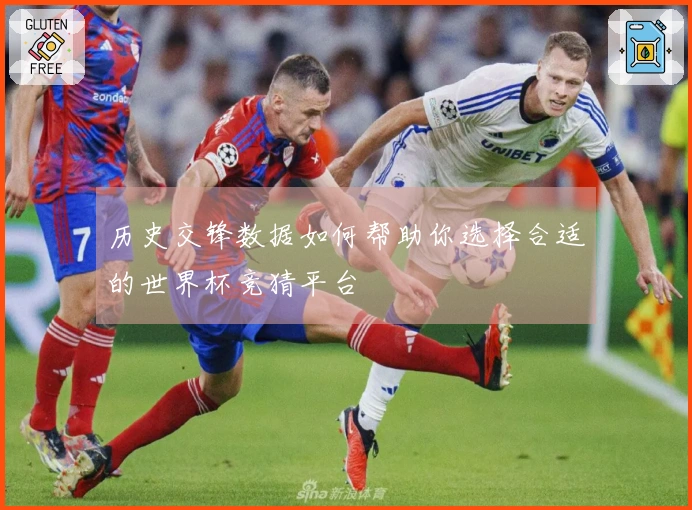 历史交锋数据如何帮助你选择合适的世界杯竞猜平台