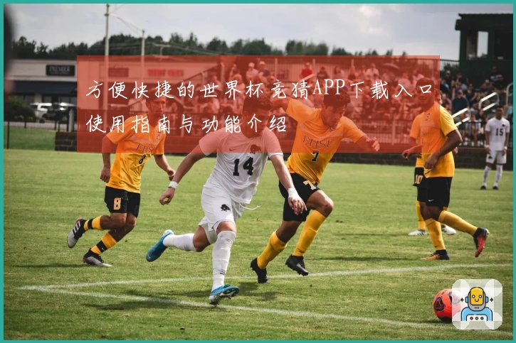 方便快捷的世界杯竞猜APP下载入口使用指南与功能介绍
