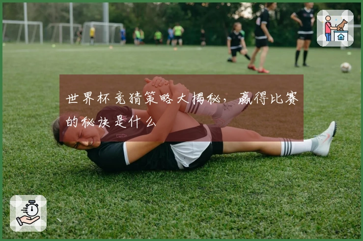 世界杯竞猜策略大揭秘，赢得比赛的秘诀是什么
